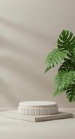 Clean studio scene with a ribbed white stand and tropical Monstera foliage in soft light photo