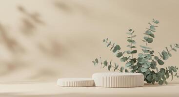Two ribbed beige podiums sit beside eucalyptus branches against a softly shadowed warm beige backdrop photo
