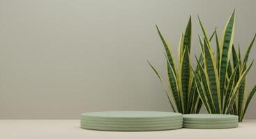 Minimalist product display with textured green cylinders and striking yellow-green foliage photo