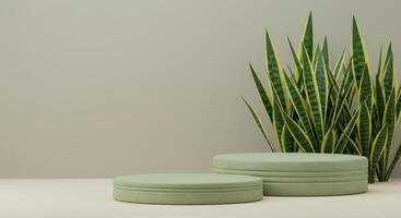 Clean studio setup featuring ribbed sage podiums and vertical snake plants against a plain backdrop photo
