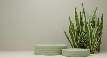 Two sage green ribbed podiums sit beside upright striped snake plants against a neutral wall photo