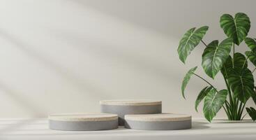 Three grey and beige podiums stand beside a large Alocasia plant against a softly shadowed neutral wall photo