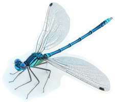 Vibrant turquoise dragonfly in profile view. png