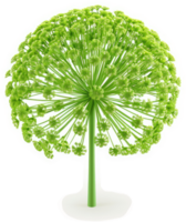 A vibrant, spherical cluster of lime green blossoms. png