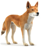 Digital rendering of a vibrant dingo. png