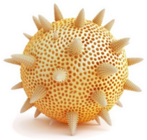 Rendered image of a spherical virus particle. png