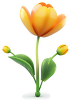 Vibrant yellow tulip with buds and leaves. png