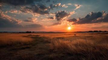 A sunset over a field with tall grass photo
