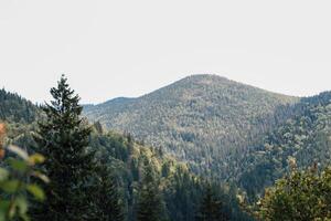 Expansive view of lush green mountains under a clear sky in a serene nature landscape photo