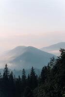 Mountain landscape with mist and trees during early morning hours in serene environment photo