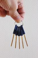 A Set Of Keys On A Keyring photo