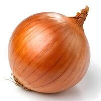 A single whole onion is centered in the image photo