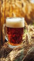 Glass of fresh amber beer standing on wheat ears in a field photo