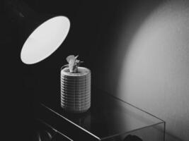 A minimalist desk setup that features creative lighting and stylish decor to enhance the space photo