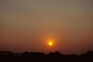 The sun is setting over a field with trees photo