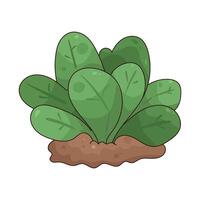 leavy green illustration vector
