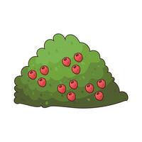 vegetables and bush vector