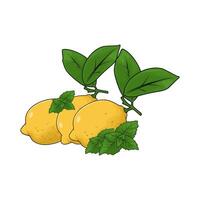 fresh lemon with leaf vector