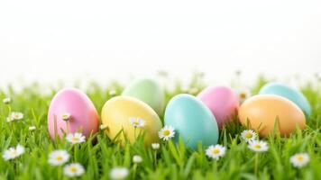 Pastel Easter Eggs In Grass With Daisies photo