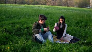 A group of friends are enjoying a delightful picnic together in a beautiful park during spring video
