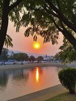 Serene Sunset Over Water Framed by Lush Greenery photo