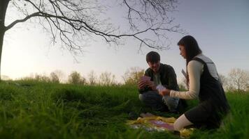 Scene of Togetherness in a Park with Children Enjoying Life and Creating Happy Memories video