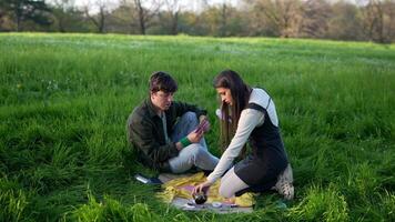A lovely couple is enjoying a delightful picnic in a beautiful and lush green field video