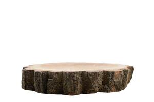 Cross section of the tree isolated on white background photo