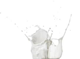 Milk splash isolated on white background photo