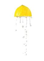 Squeeze lemon isolated on white photo