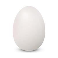 Chicken egg on a white background photo
