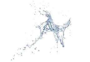 Big splash of water Isolated on a white background photo