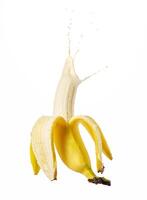 A banana with a splash of milk photo
