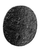 black potato chips on an isolated background photo