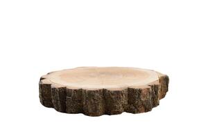 Cross section of the tree isolated on white photo