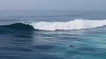 Drone view of waves with surfers. Perfect breaking waves in ocean video