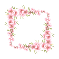 Pink flowers of almond with leaves and buds watercolot square frame isolated. Floral template with copy space from spring sakura cherry blossom. Illustration of spring blooming fruit in sketch style. png