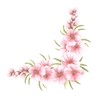 Pink flowers of almond with leaves and buds watercolot corner frame isolated. Floral template with copy space from spring sakura, cherry blossom. Illustration of spring blooming fruit in sketch style. png
