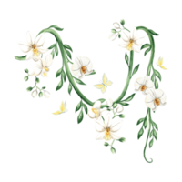White orchid flowers on tropical liana and butterflies watercolor illustration isolated. Tropical blooming plant for jungle design. Hand drawn phalaenopsis on climbing curly vine in realistic style. png