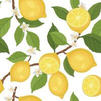 Summer card with lemon branch. Seamless pattern design with citrus fruits vector