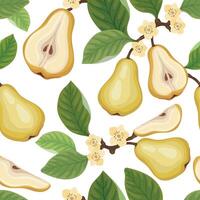 Seamless pattern with Fresh pear and pear half on brunch tree with flowers vector