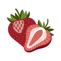 Two strawberries, one whole and one sliced, with leaves on white background vector