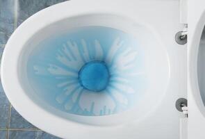 A blue toilet bowl with a flower in it photo