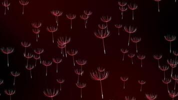 Red color rotating multiple flower shapes flowing horizontally modern design dark floral background video