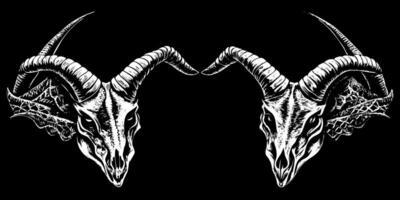 Two ram's heads with skulls on them vector