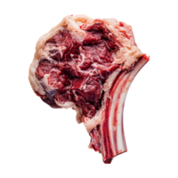 a raw meat bone on a transparent background png