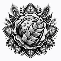 Intricate Black and White Cabbage Mandala with Leaf Patterns vector