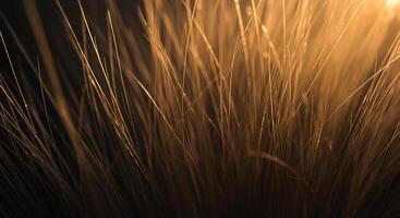 Abstract Warm Tones of Whispering Grass Blades - Generated using AI photo