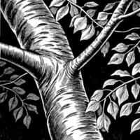 Black and White Tree Bark and Branch Illustration with Leaves on Dark Background vector