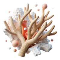 extraordinary rustic Dried Coral Branch Cutout with Bleached White original png